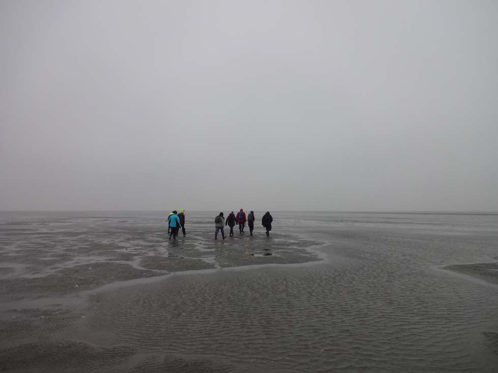 Nebel Wattmeer Dithmarscher Eismeers