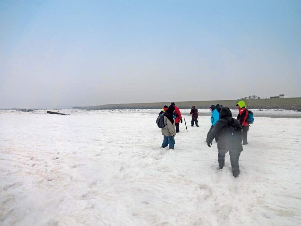 Eis im Wattenmeer bei der Wattwanderung