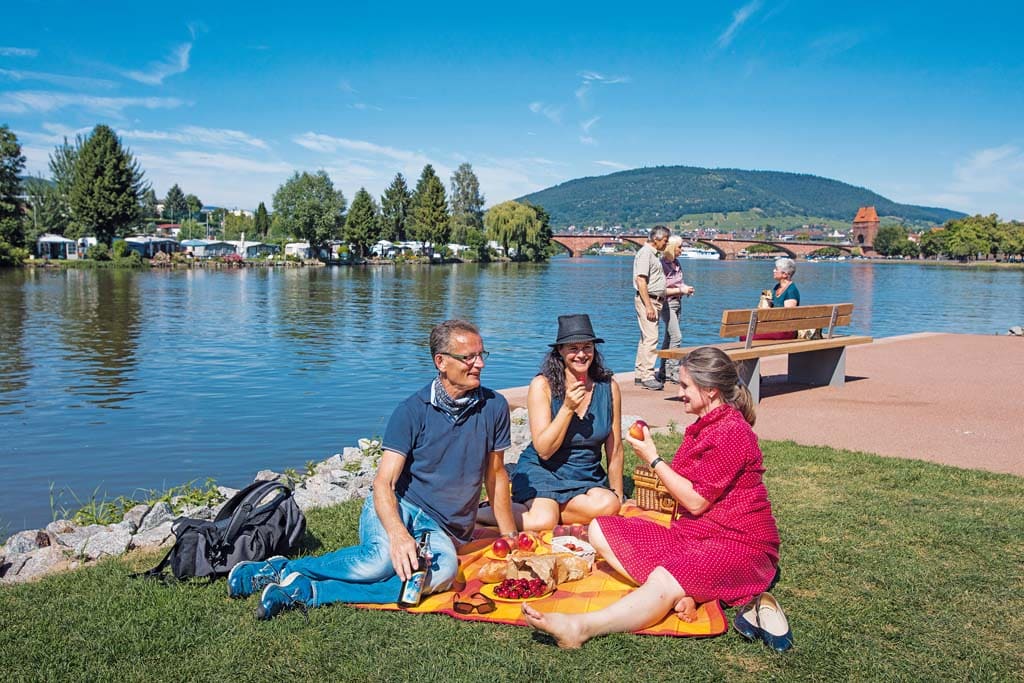 Picknick am Mainufer