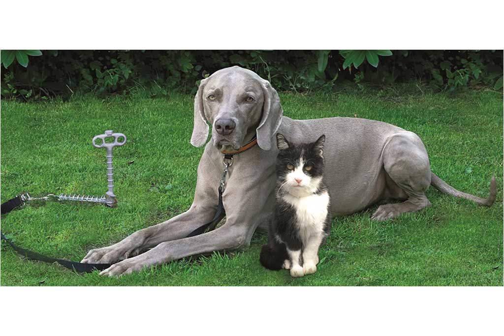 PeggyPeg PetPeg Tierhalterung