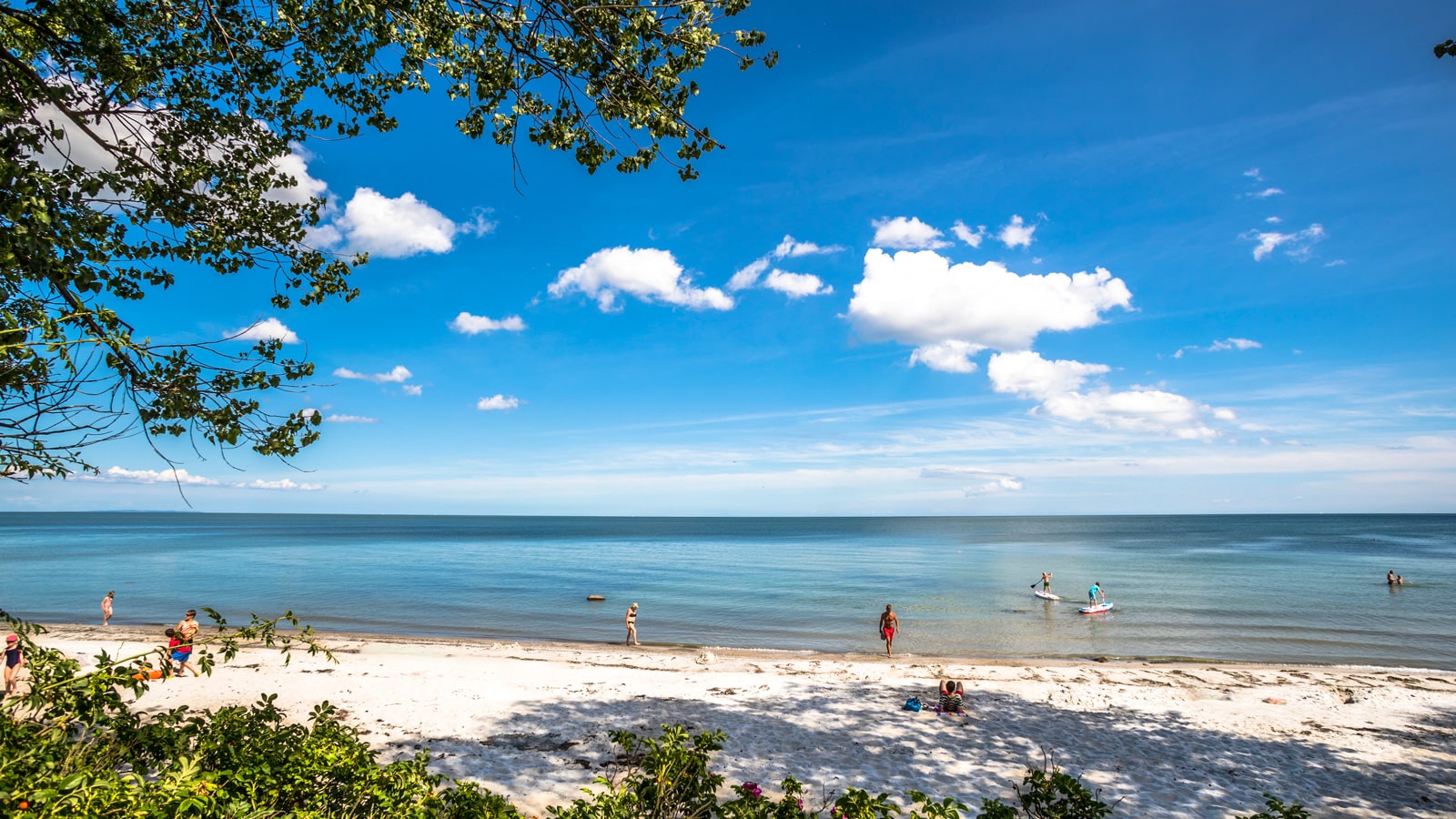 Campingurlaub Dänemark: Uslev Strandcamping