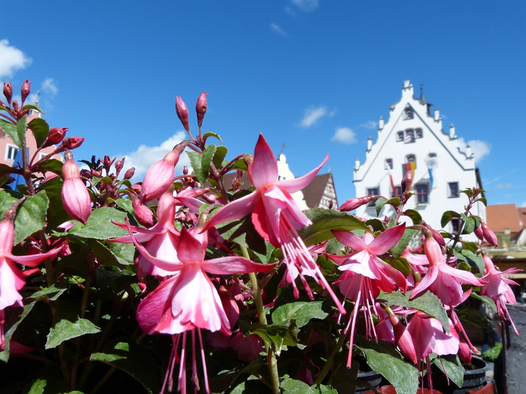 camping in wemding (9)