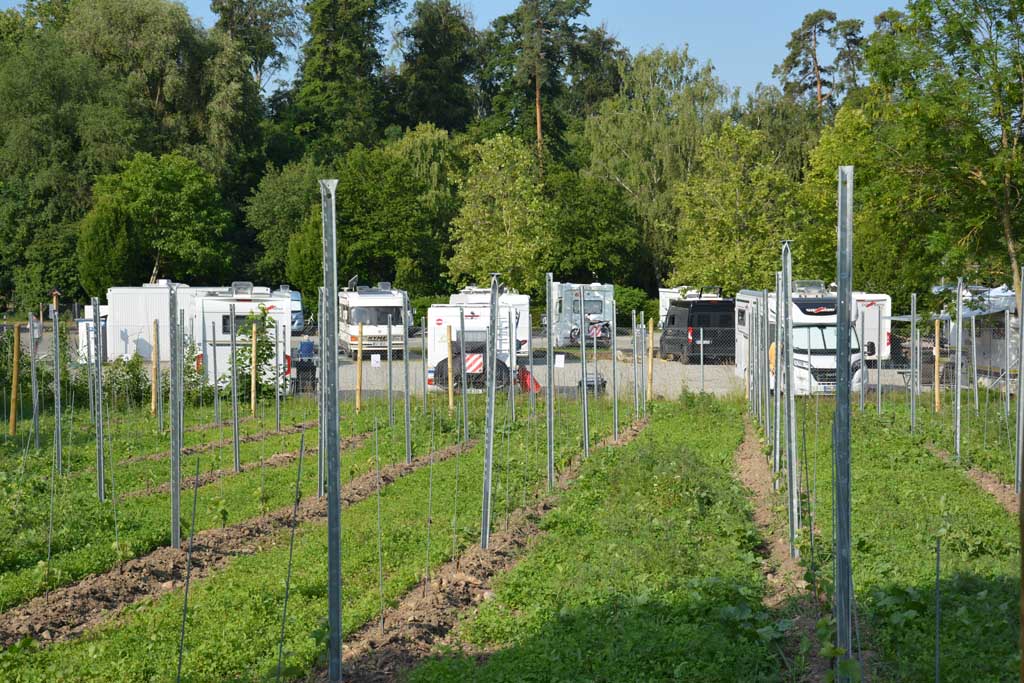 Stellplatz Meersburg