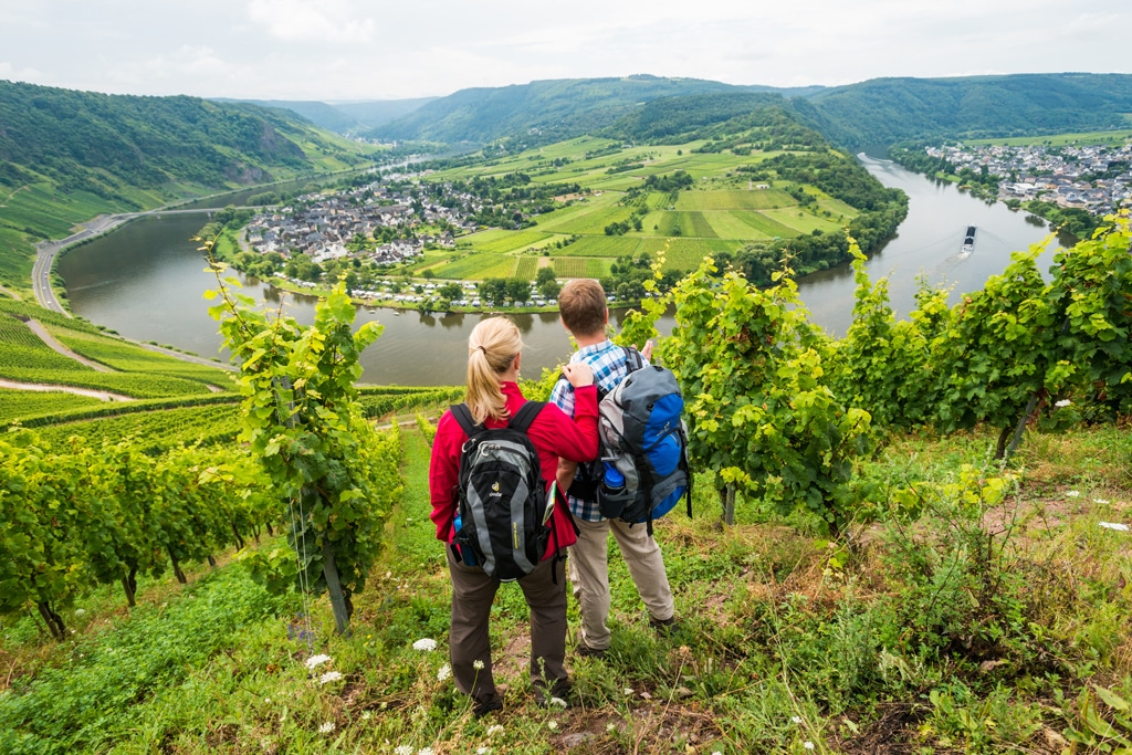Wandern auf dem Moselsteig