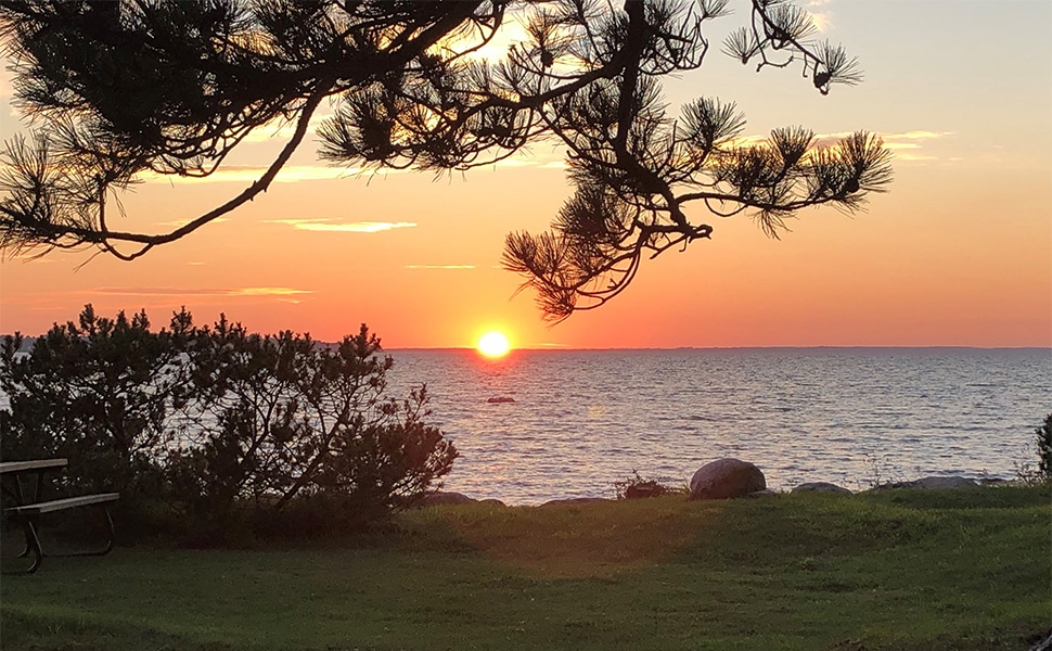 Südschweden im September – Fika, Architektur und Natur: Schwedens vielfältiges Angebot