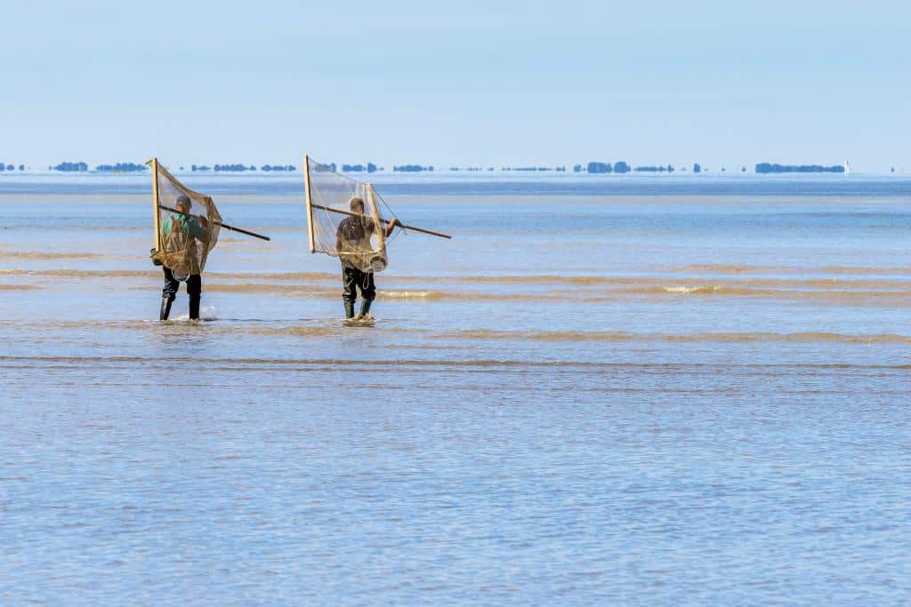 Region Pays de la Loire