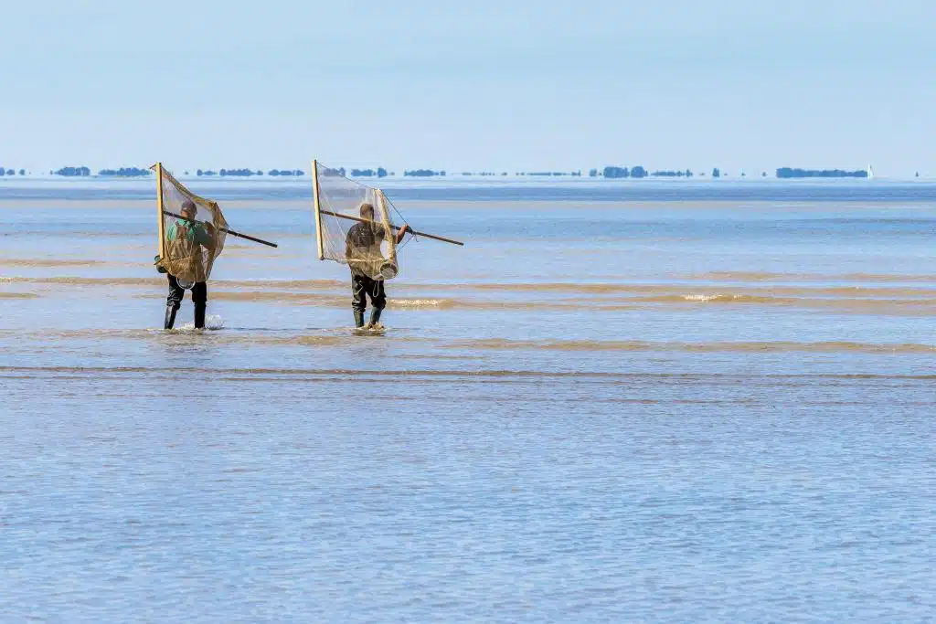 Region Pays de la Loire