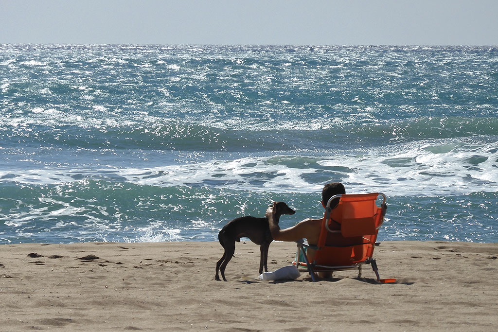 Mann und Hund am Meer